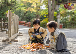 兄弟で鎌倉鶴岡八幡宮に七五三のお参り 羽織袴の男の子