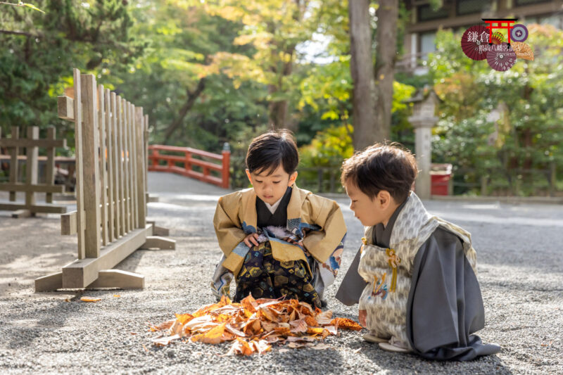 兄弟で鎌倉鶴岡八幡宮に七五三のお参り 羽織袴の男の子