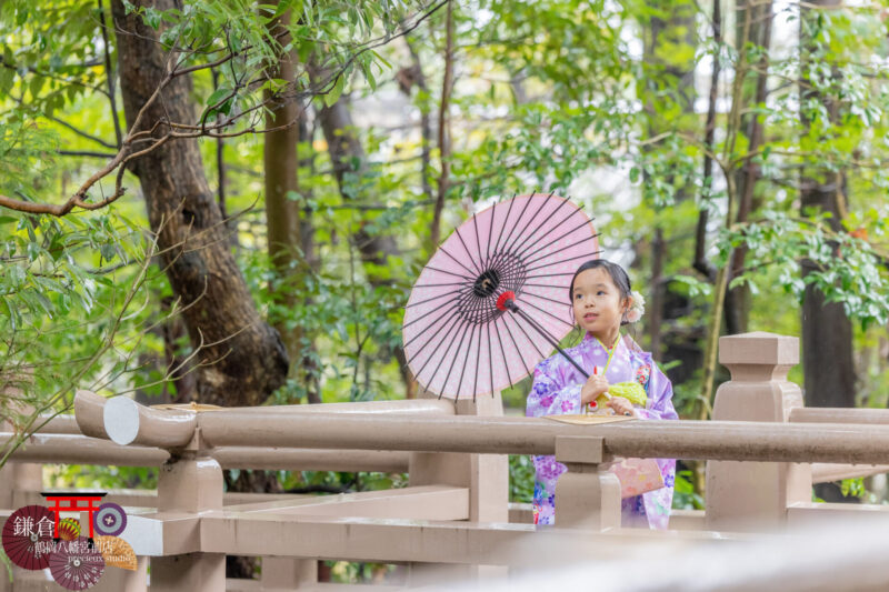 紫の着物と和傘で鎌倉鶴岡八幡宮に七五三のお参り 出張撮影